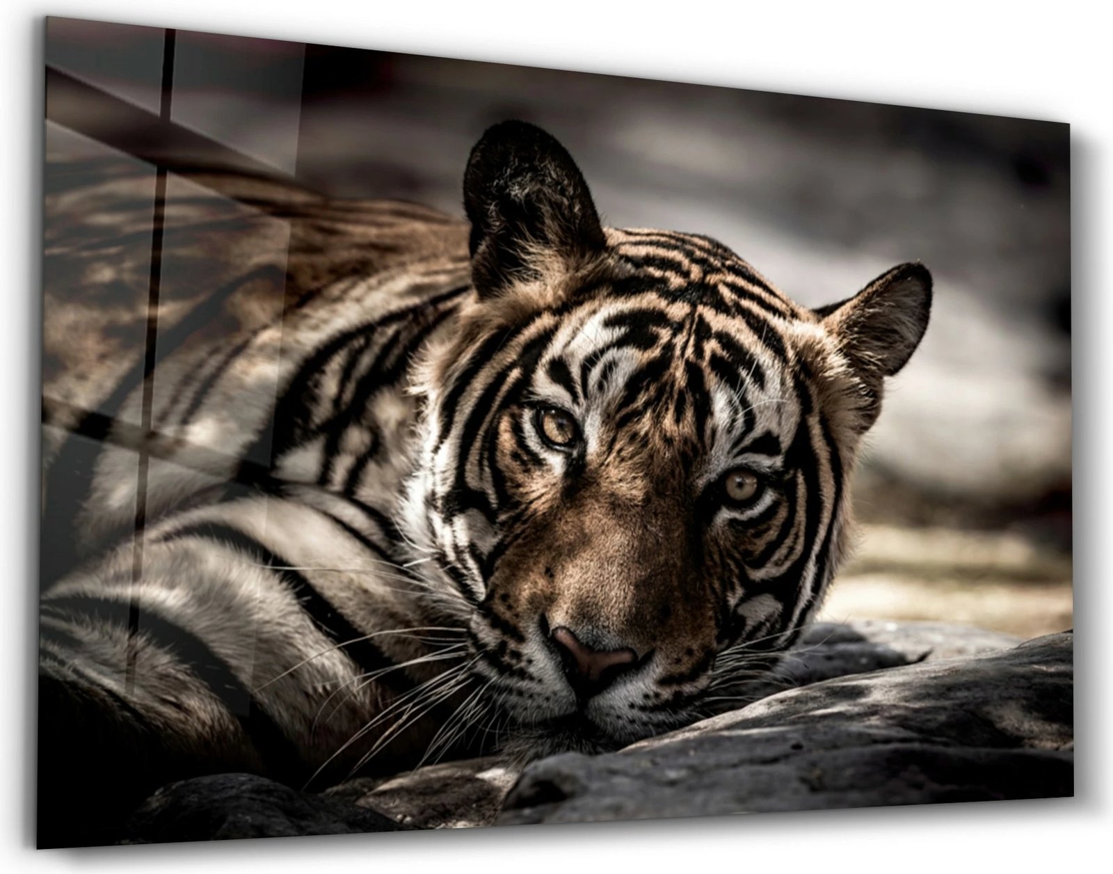 Pikturë dekorative prej xhami të temperuar, Wallity CAM-1057, 46x72cm