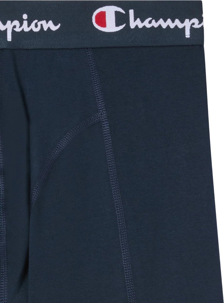 Të brendshme për meshkuj Champion, të kaltërta