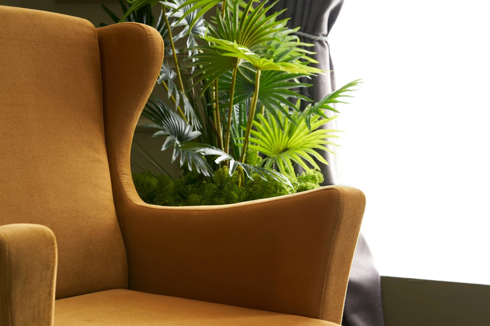 Karrige Wing Lola, ngjyrë ari, Atelier del Sofa