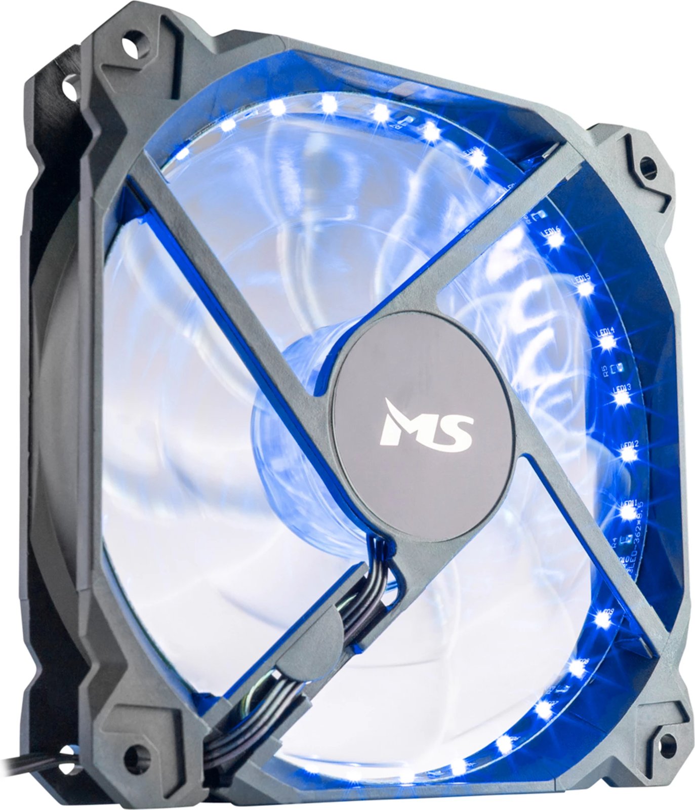 COL CAS MS FREEZE L220