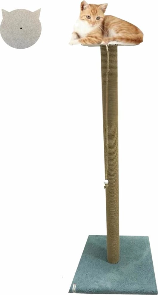 Dërrasë gërvishtëse për mace, Axel, ngjyrë tyrkiz