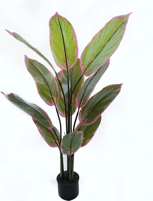 Bimë dekorative në vazo Calathea Inart, ngjyrë e gjelbër, 68x120cm