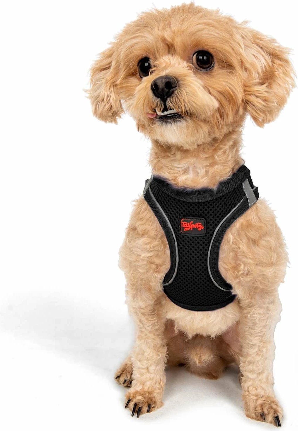 Parzmore për qen, Air-Mesh, ngjyrë e zezë