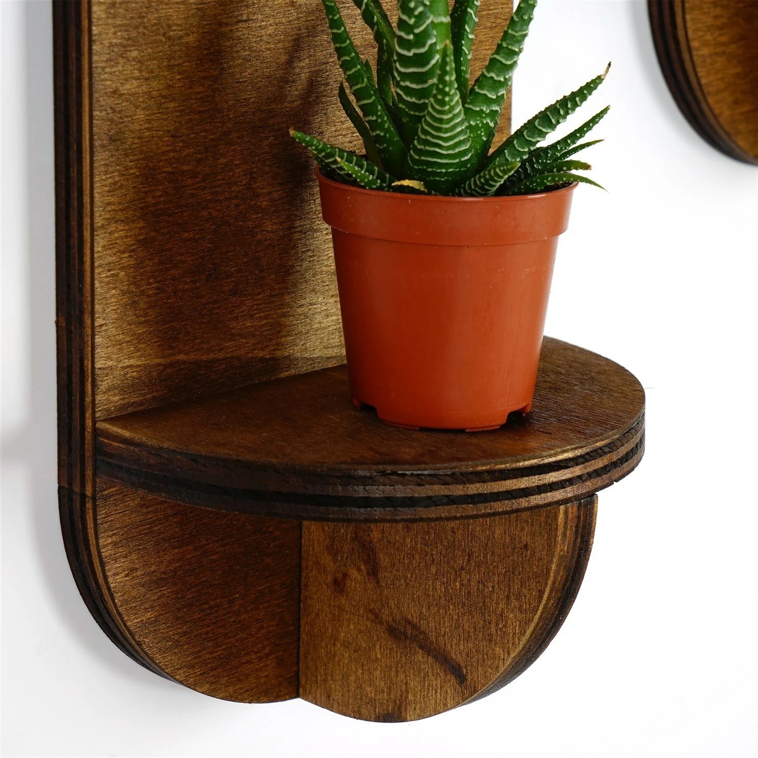 Raf muri Hanah Home, Raf262, ngjyrë arre, 2 copë