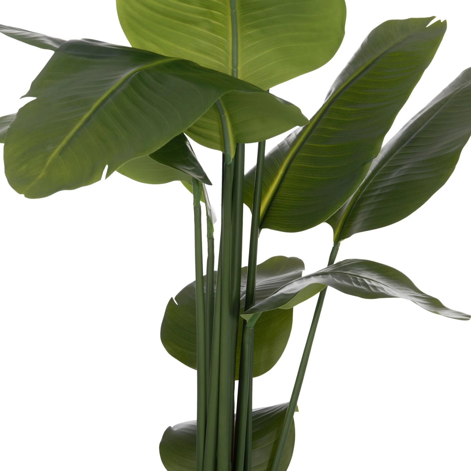 Bimë sintetike dekorative në vazo, Strelitzia, FH4739, Φ18x172cm