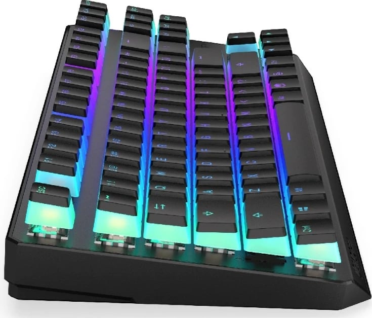 Tastierë Endorfy Thock TKL Pudding EY5A119 - USB, e zezë