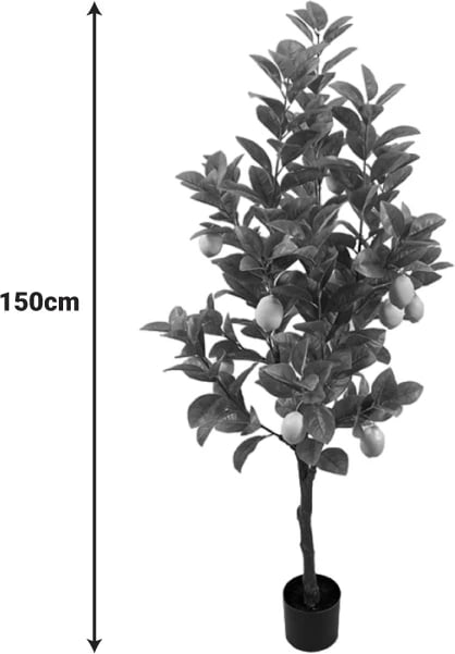 Bimë dekorative limoni në vazo, ngjyrë e zezë-gjelbër, 150cm