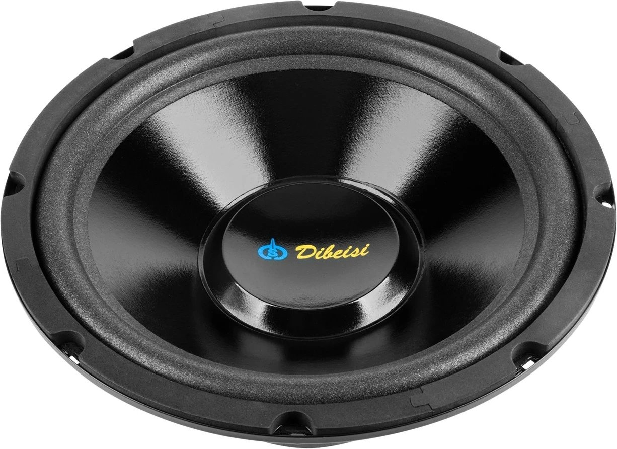 Altoparlant 10 inç DBS-G1001, 8 Ohm, i zi
