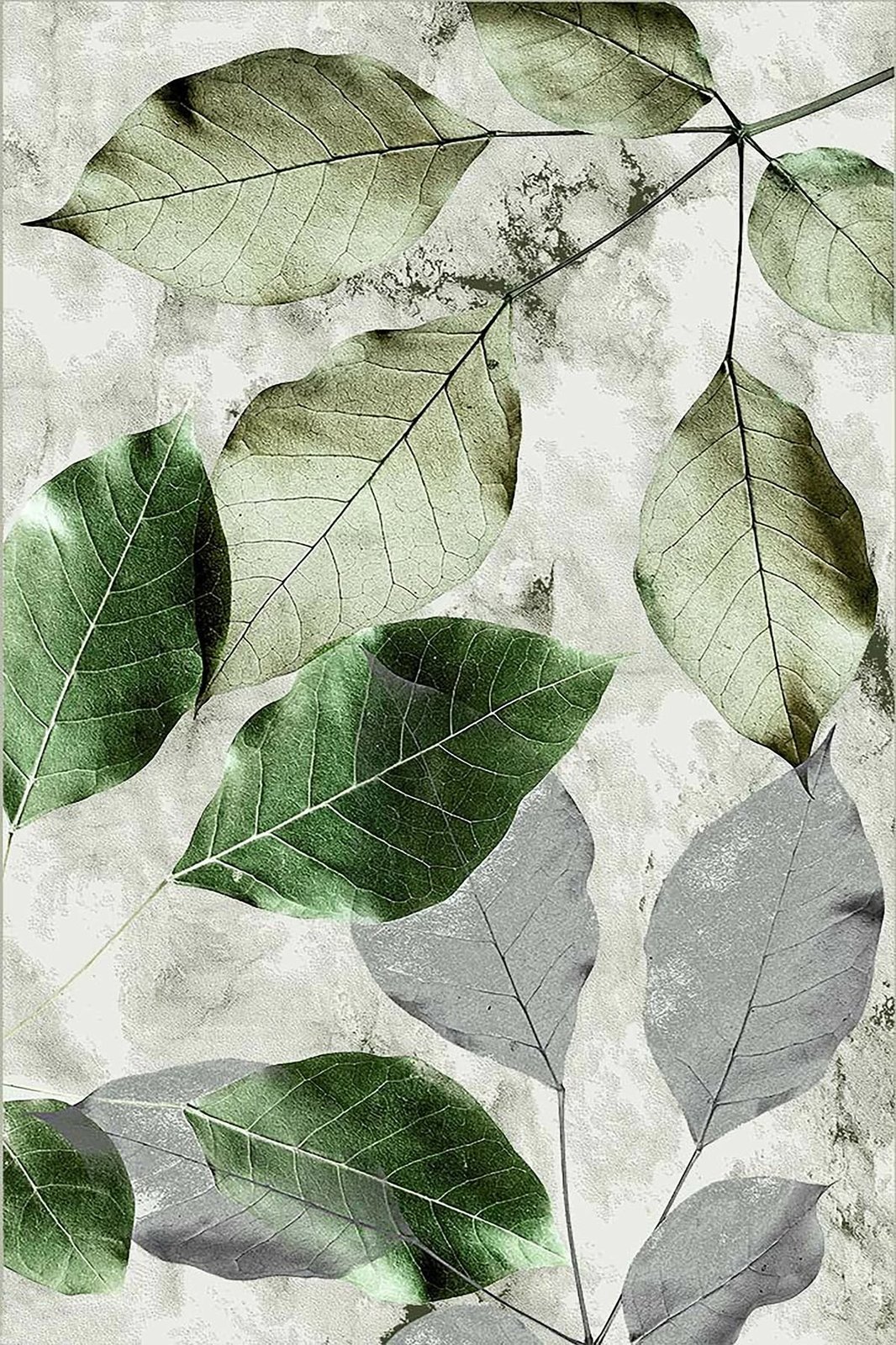 Qilim Conceptum Hypnose, shumëngjyrësh, 180x280cm, Hmnt571