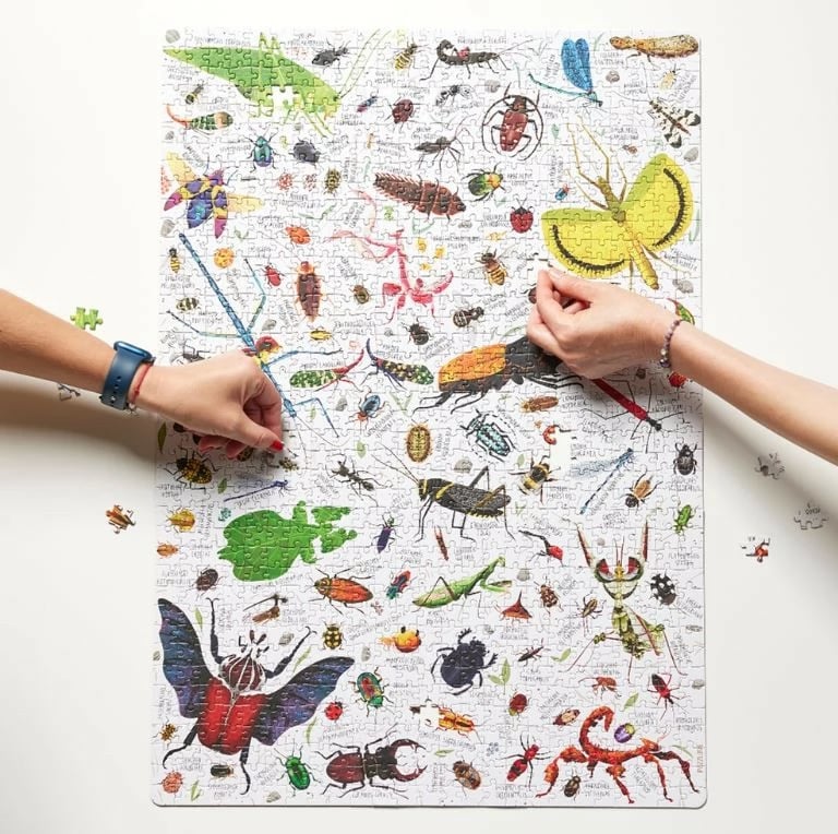 Puzzle CzuCzu Puzzlove Insects 1000 pjesë, shumëngjyrëshe