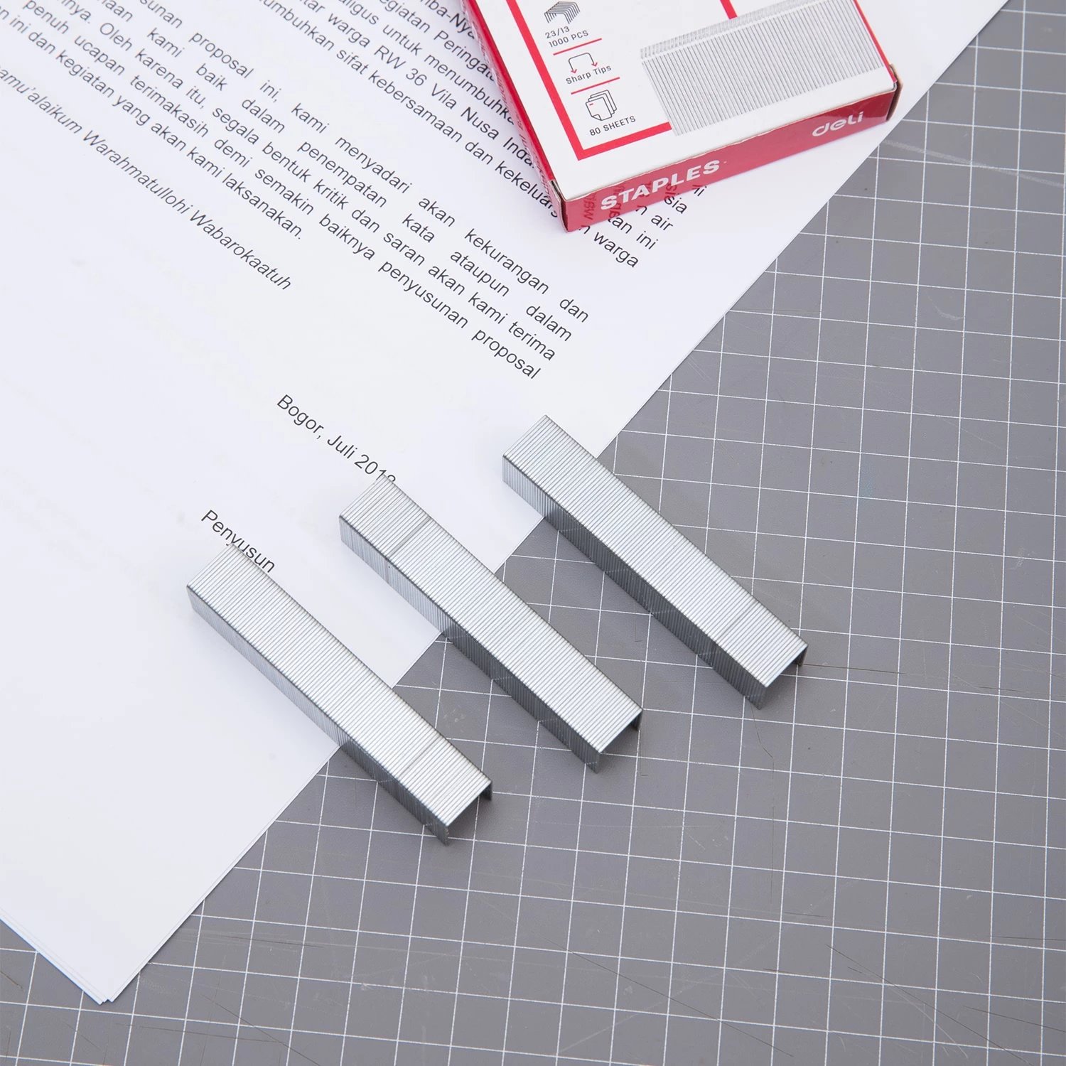 DELI MUNICION 23/23 0014 1/5