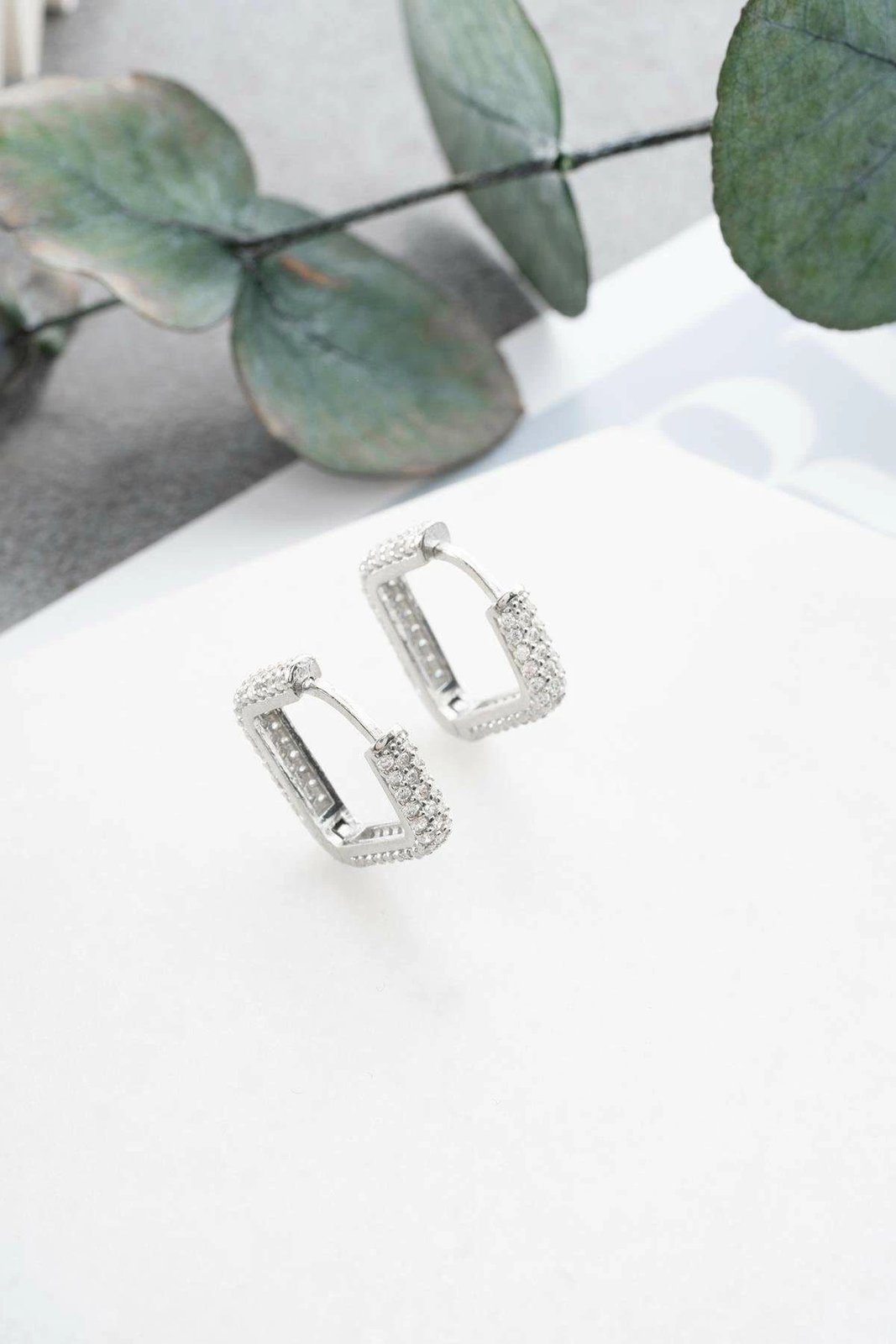 Vathë argjendi, Jumeon, NRZ1000312