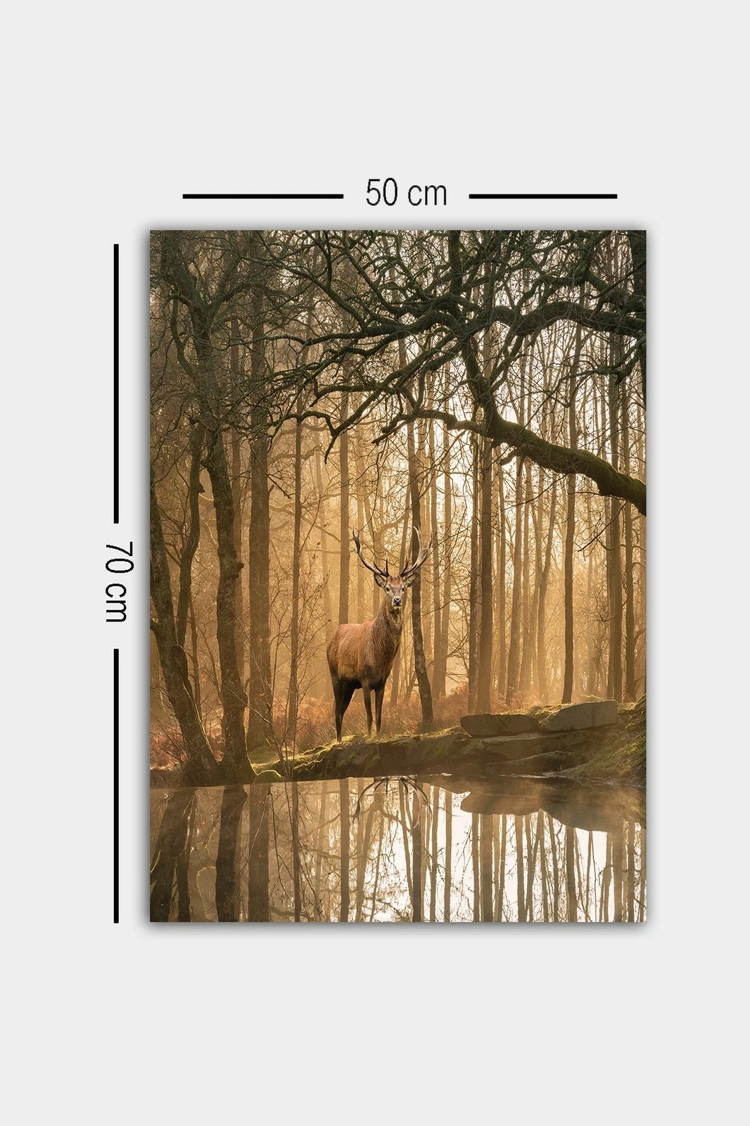 Pikturë dekorative në kanavacë, shumëngjyrëshe, 50x70cm, 1276742665-5070