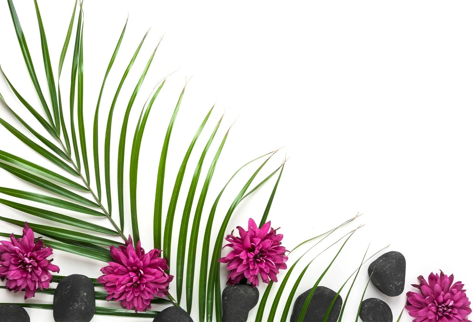 Set tapetesh për banjo (2 copë), Mijolnir, CT-5207