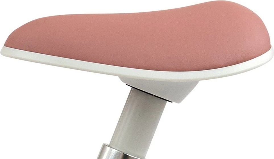 biçikletë balancuese, Milly Mally, Skippy, rrota EVA pa shpim, sedilje e rregullueshme, 18+ muaj, rozë