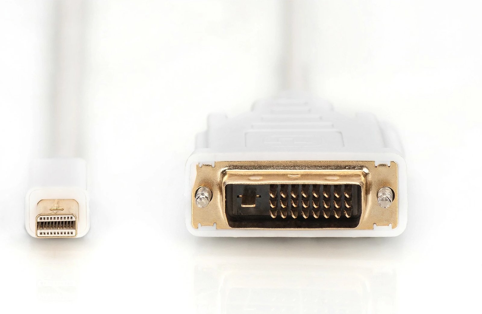 Kabëll adapter Digitus Mini DisplayPort në DVI-D, 2m, i bardhë