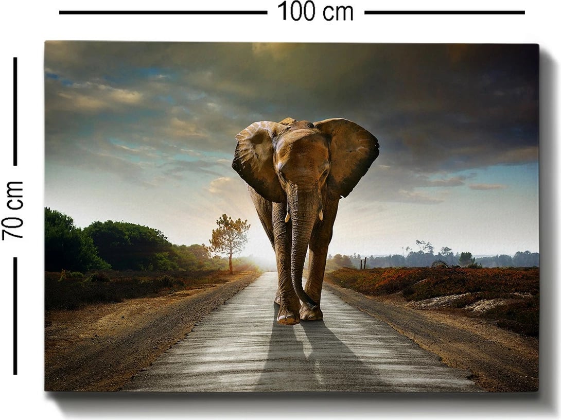 Pikturë dekorative në kanavacë, shumëngjyrëshe, 70x100cm