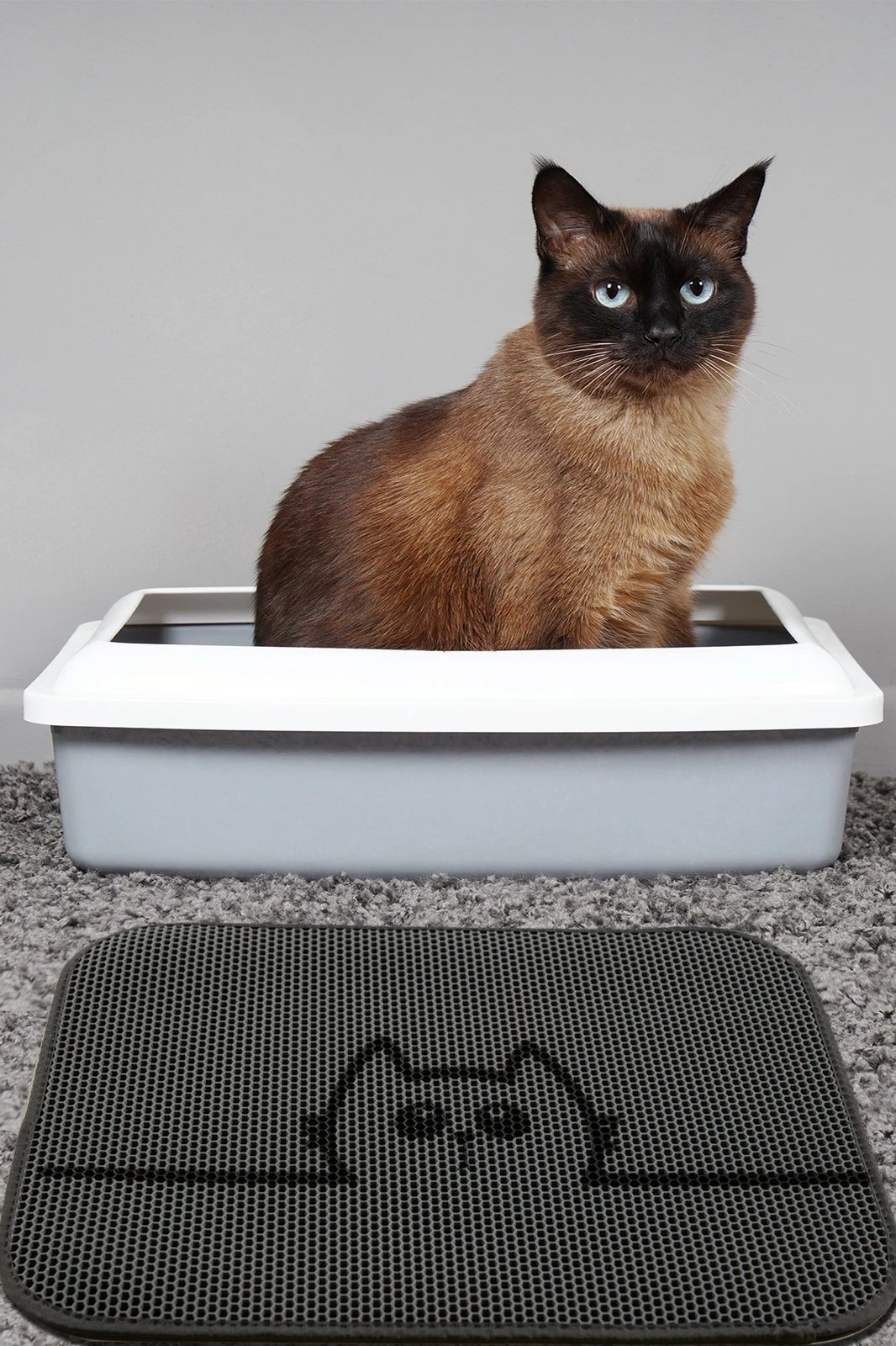 Tapet për rërë mace, Conceptum Hypnose, shumëngjyrësh, 40x60cm