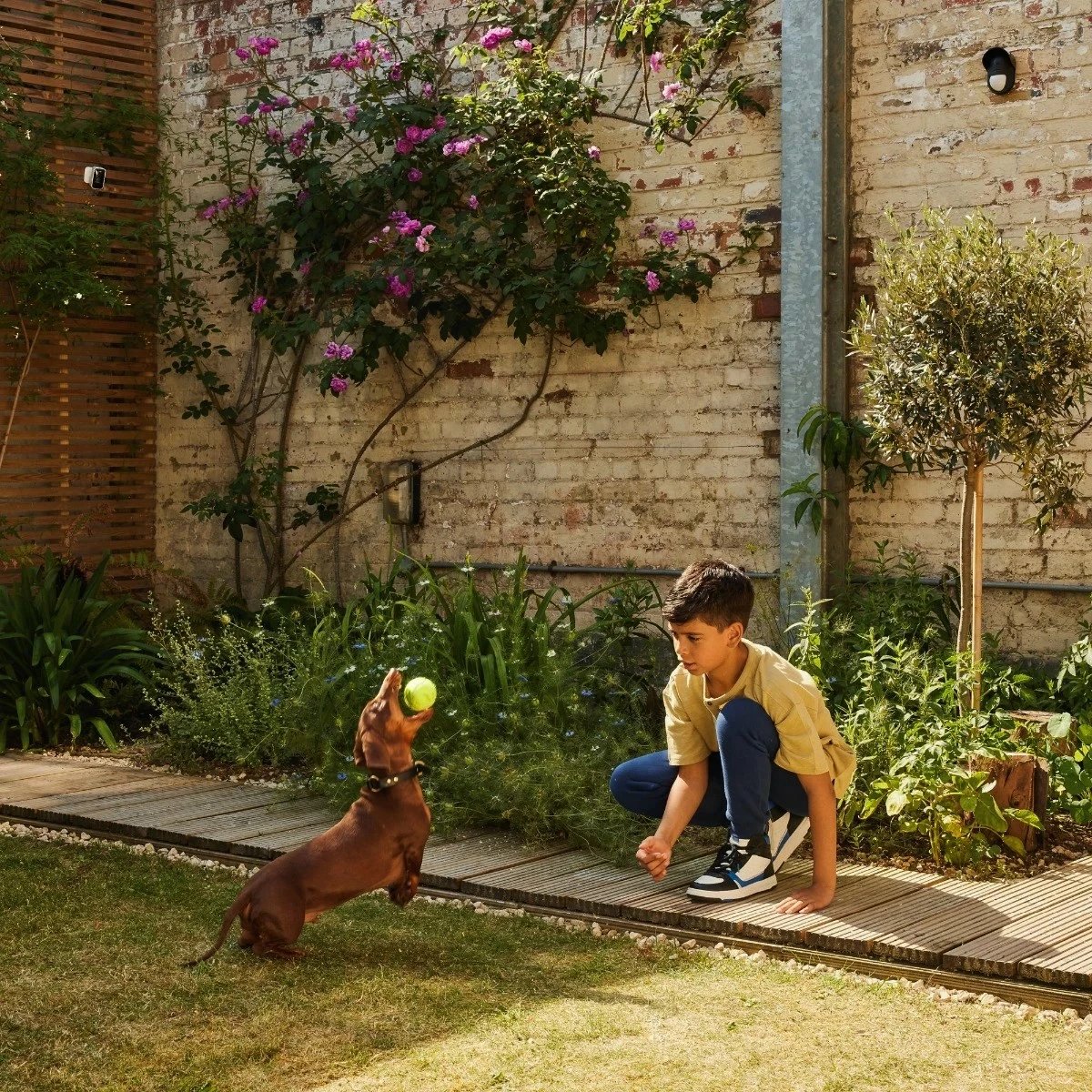 Sensor lëvizjeje i jashtëm Yale Home AL-EPIR-1A-G, i zi Sensor lëvizjeje i jashtëm Yale Home AL-EPIR-1A-G, i zi