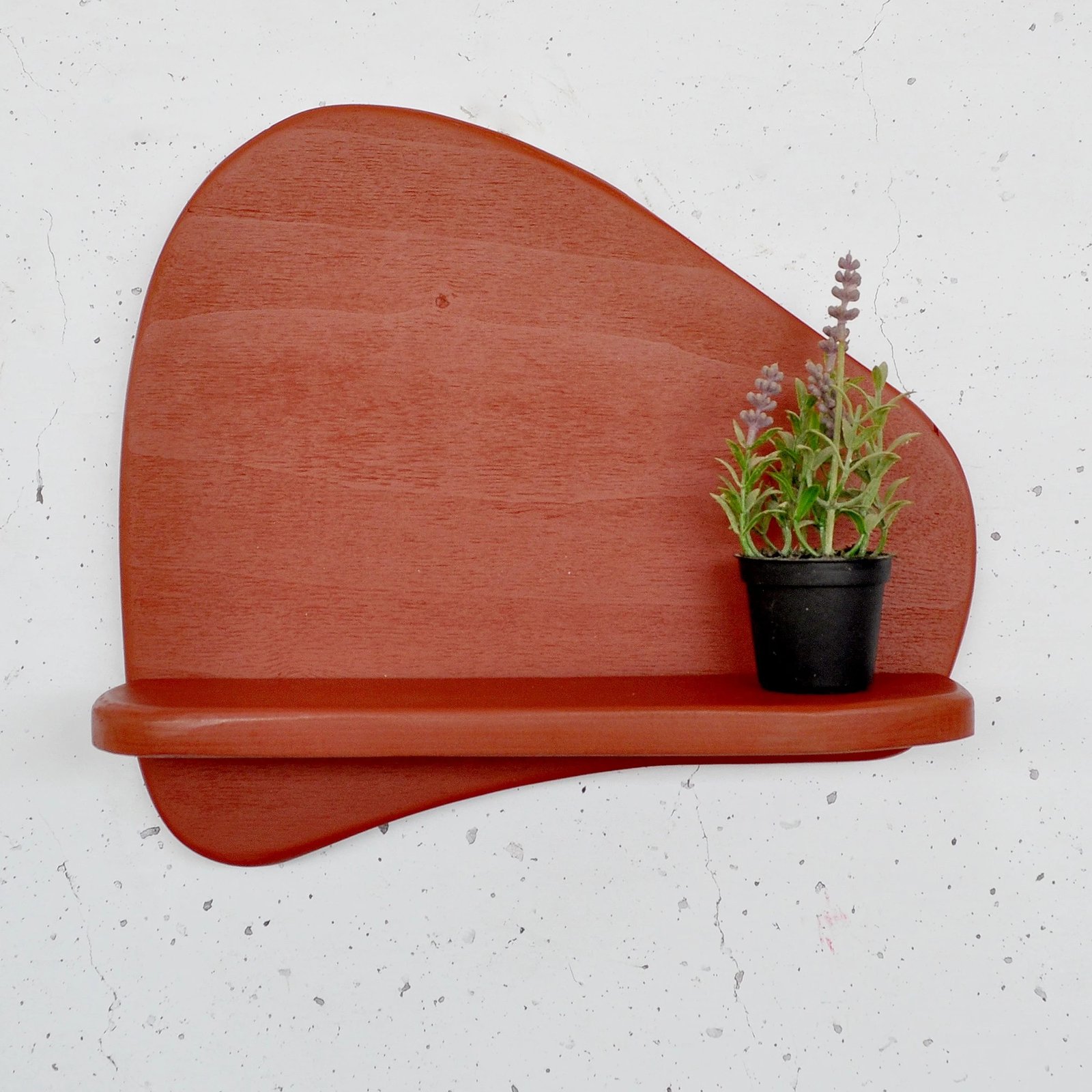 Raft dekorativ muri, dru i kuq, Skye Decor, Meh221, 35x32x11cm