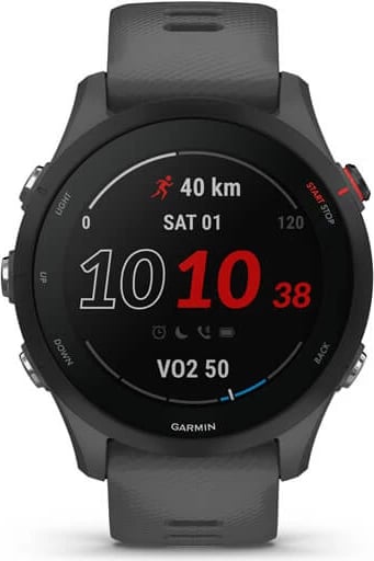 Smartwatch Garmin Forerunner 255 slate, 33mm, hiri