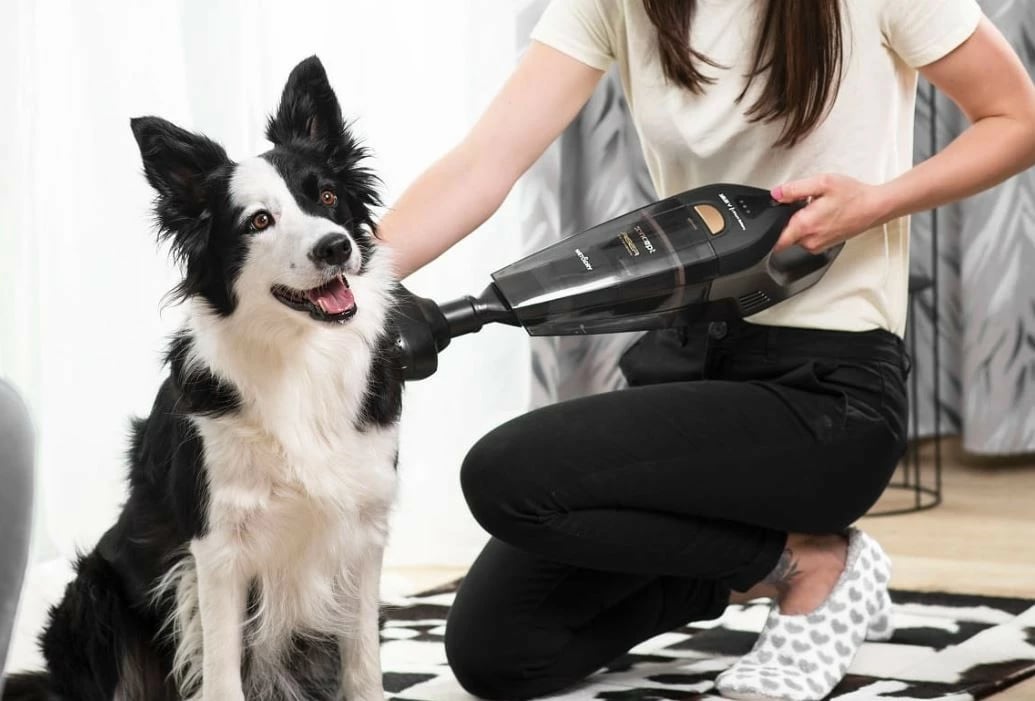 Fshesë dore Concept VP4353, pa kabllo, 0.5L, HEPA 13, e zezë, me sete aksesorësh