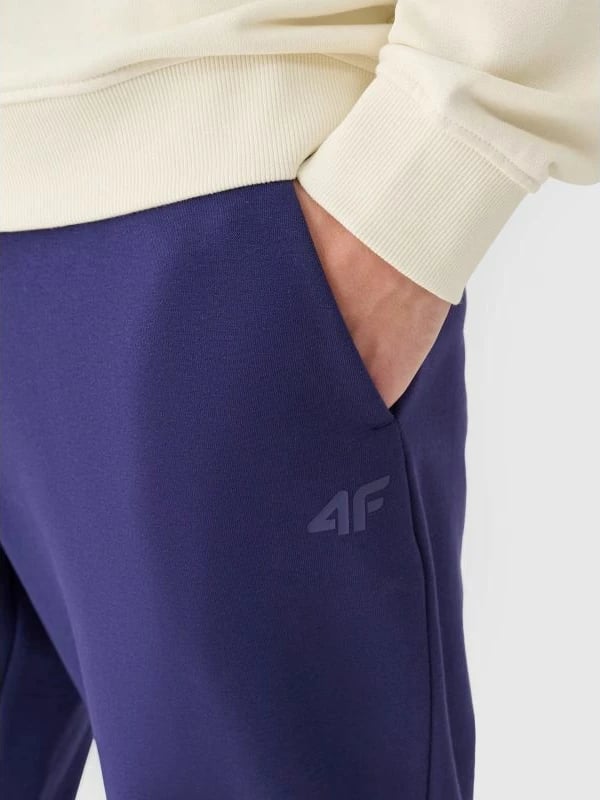 Pantallona sportive për meshkuj 4f