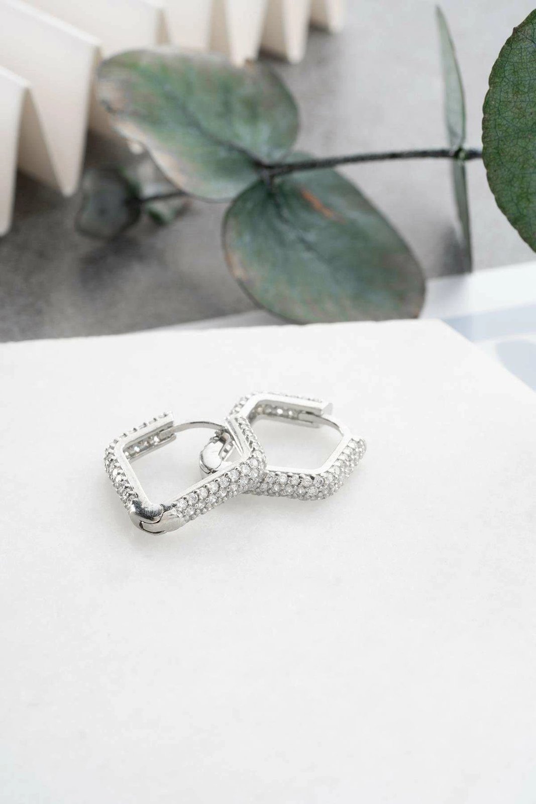 Vathë argjendi, Jumeon, NRZ1000312