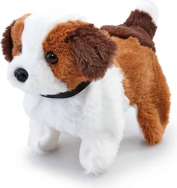 PPP FLIP OVER DOG