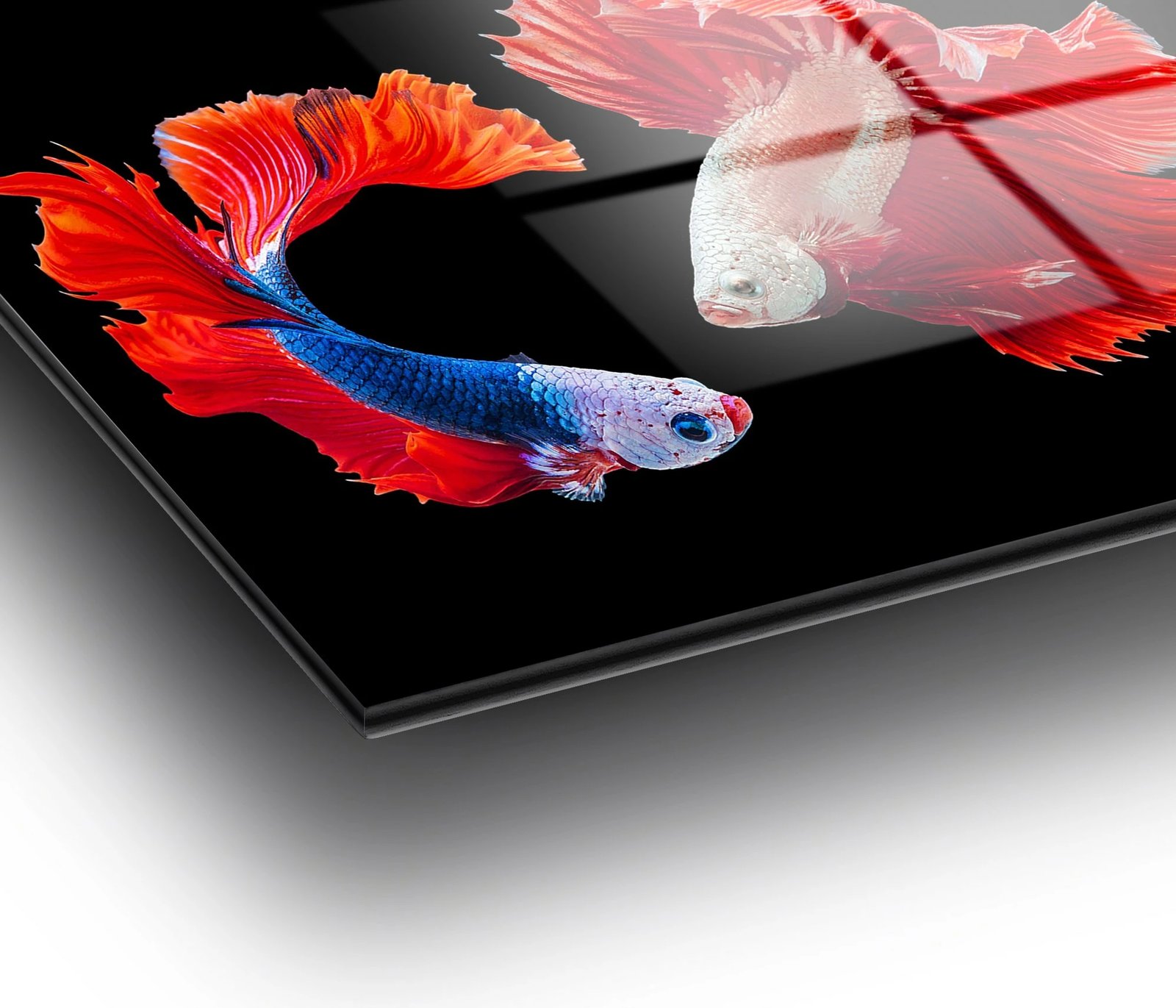 Pikturë dekorative prej xhami të temperuar, shumëngjyrëshe, Wallity UV-167, 70x100cm