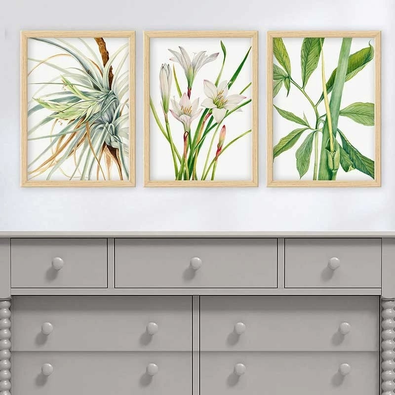 Pikturë dekorative me kornizë (3 copë), Wallity, 3NTC_12621251_3545