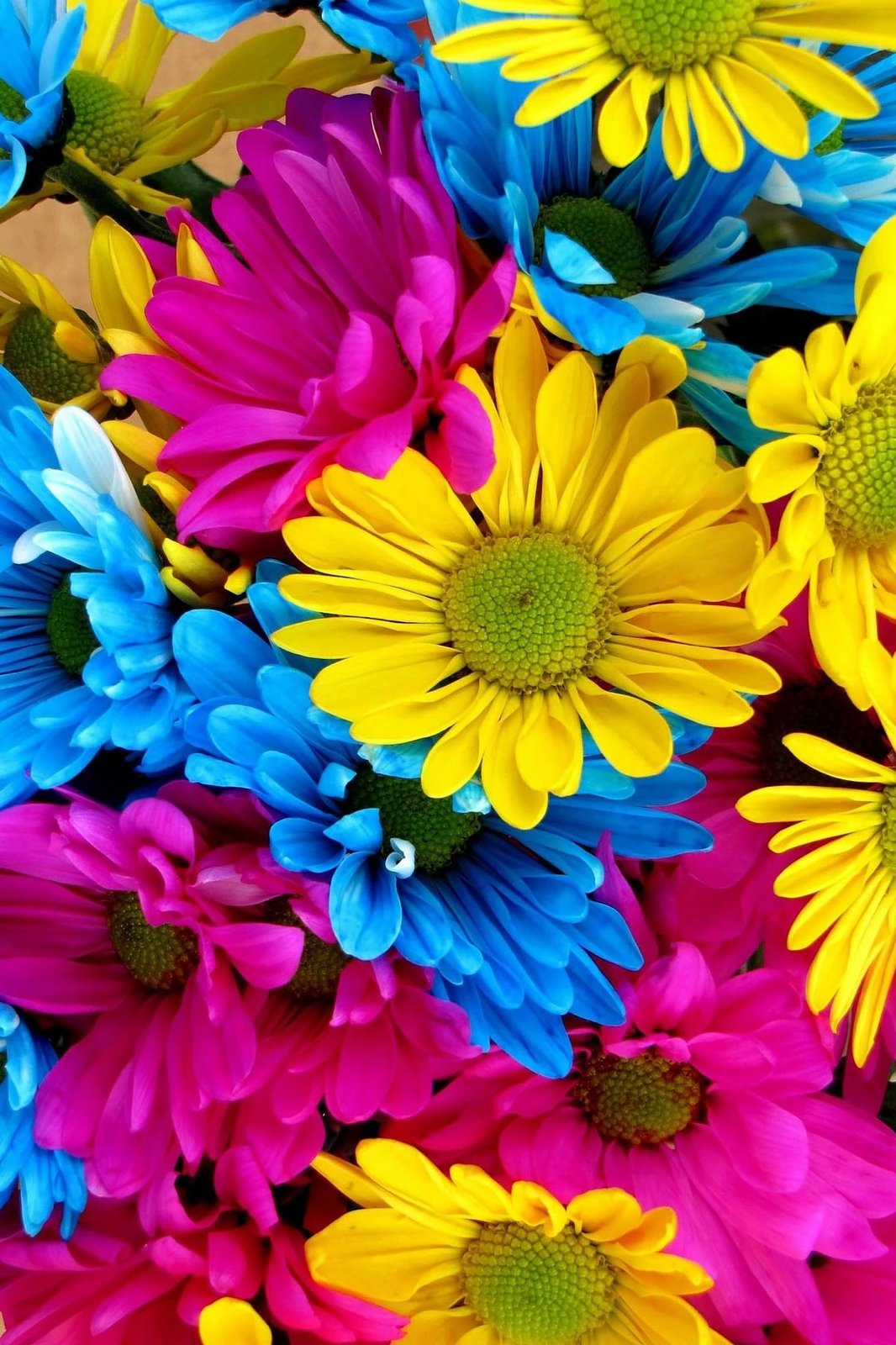 Qilim shumëngjyrësh, 120x180cm, Conceptum Hypnose, HMNT505