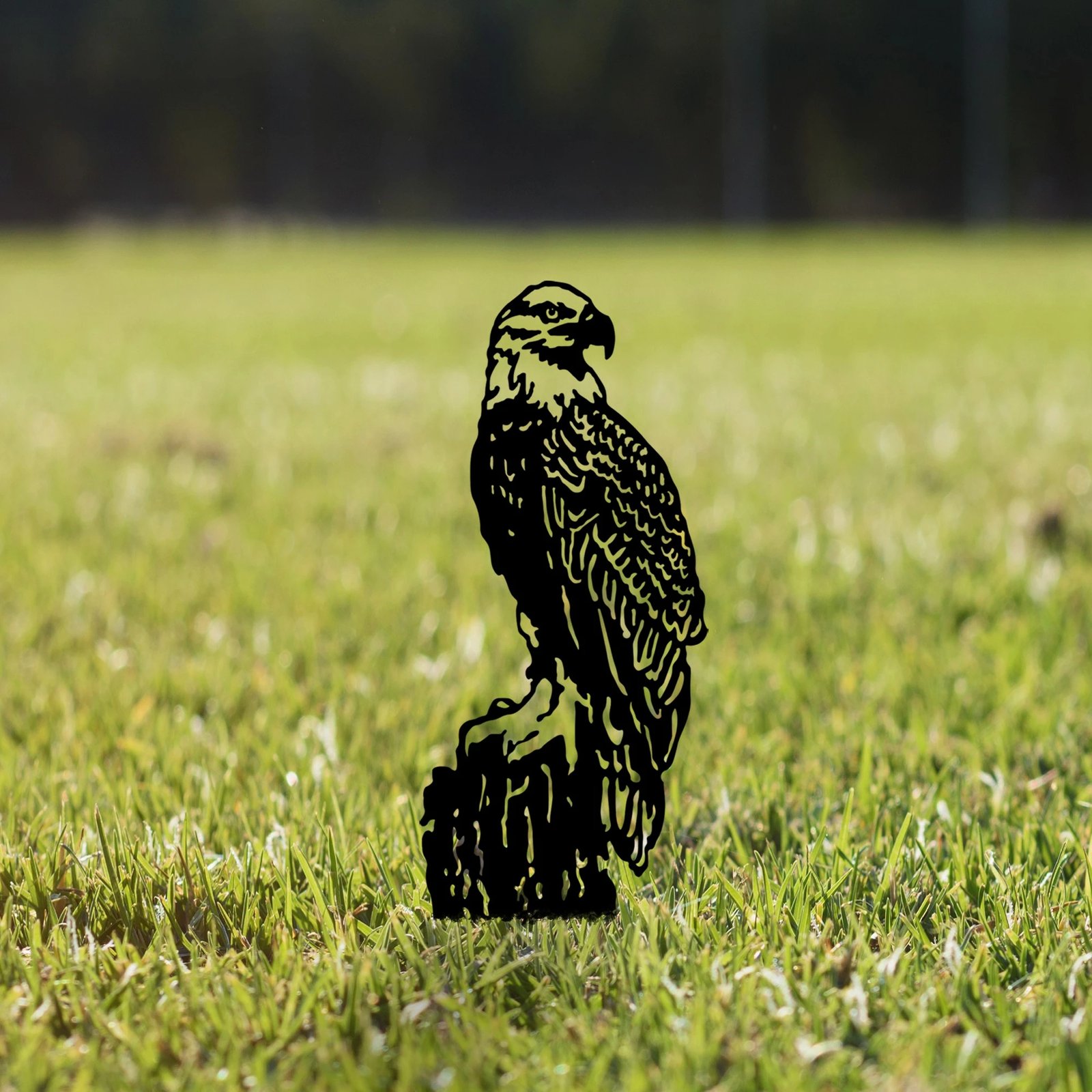 Objekt dekorativ për kopsht, dizajn Aberto, Spy 01, metal i zi, 40x36cm