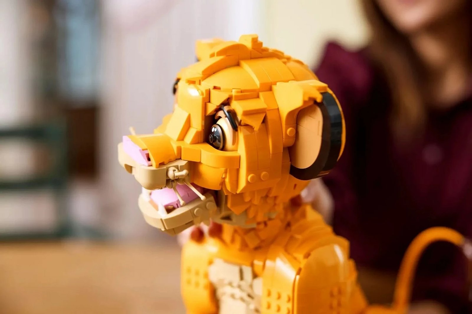 Set LEGO Disney 43247 Simba i Ri