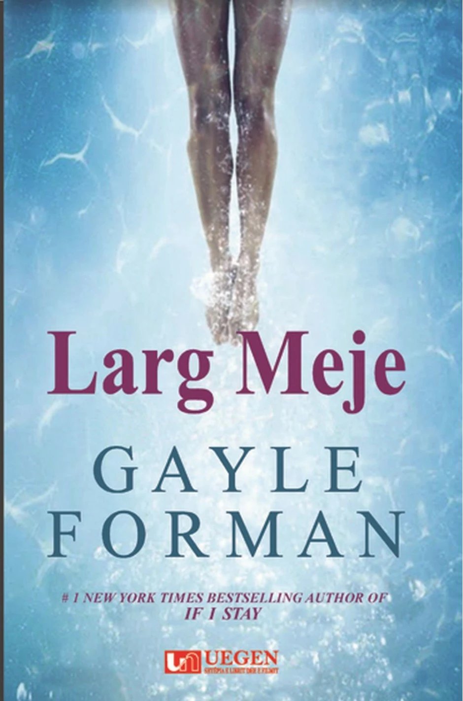 Larg Meje - Gayle Forman