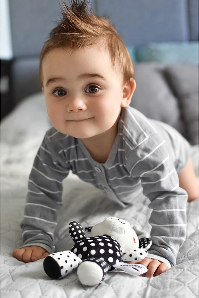 Lodër pelushi me zile, Akuku, ari i vogël, 13 cm, bardh e zi