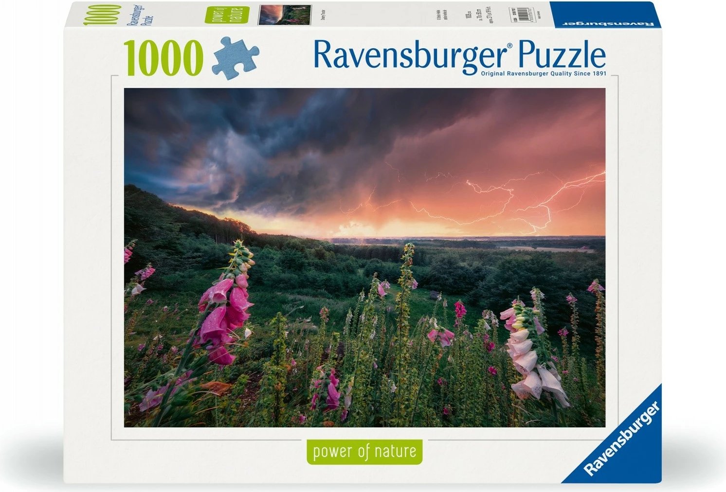 Puzzle Ravensburger Coming Storm 1000 pjesë, 70x50 cm
