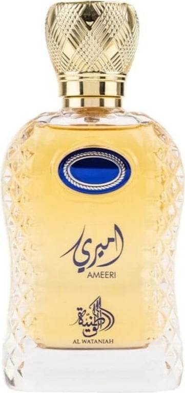 Eau de Parfum për meshkuj Al Wataniah Ameeri 100ml