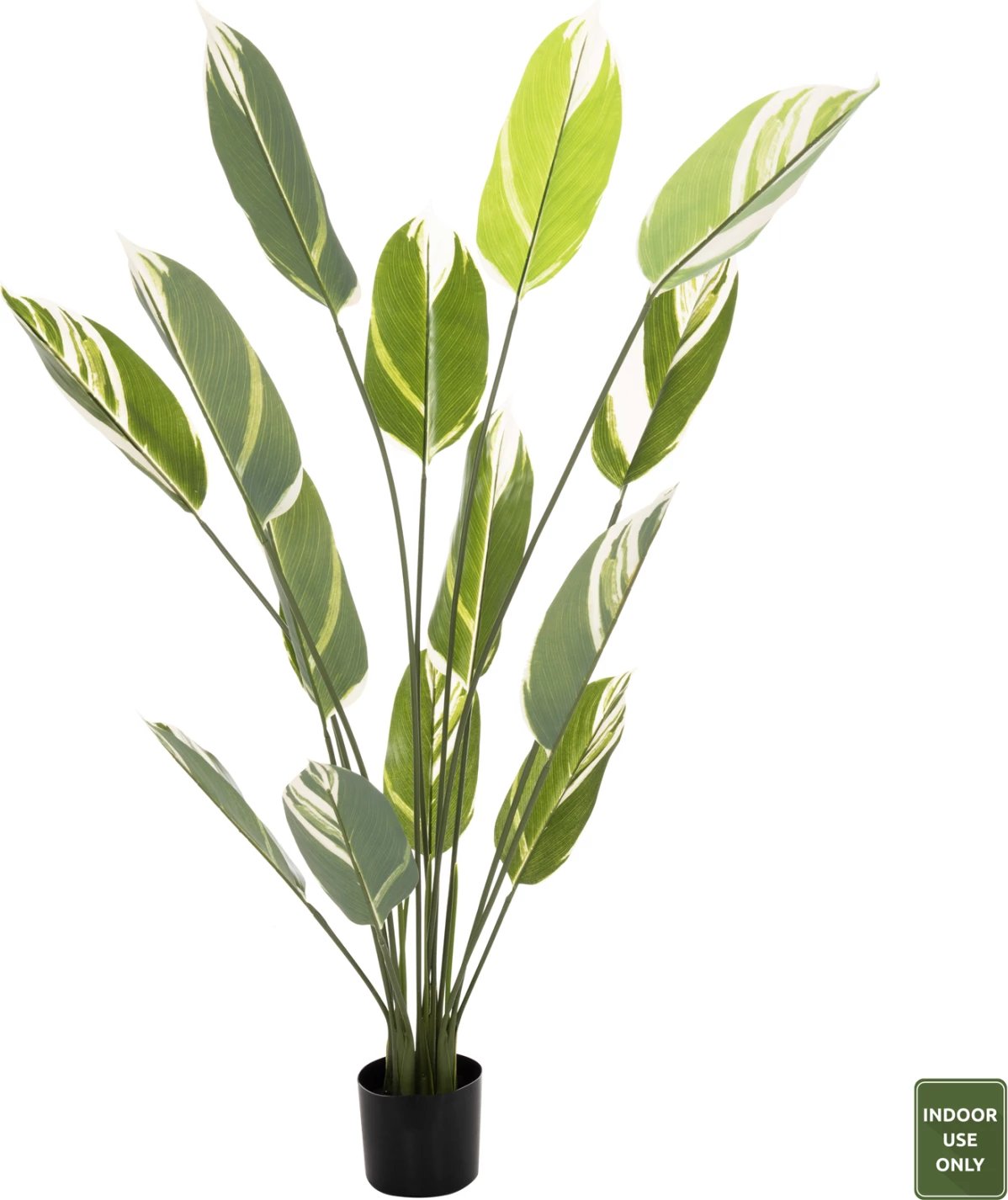 Bimë sintetike dekorative në vazo, FH7997, Calathea, 140Hcm