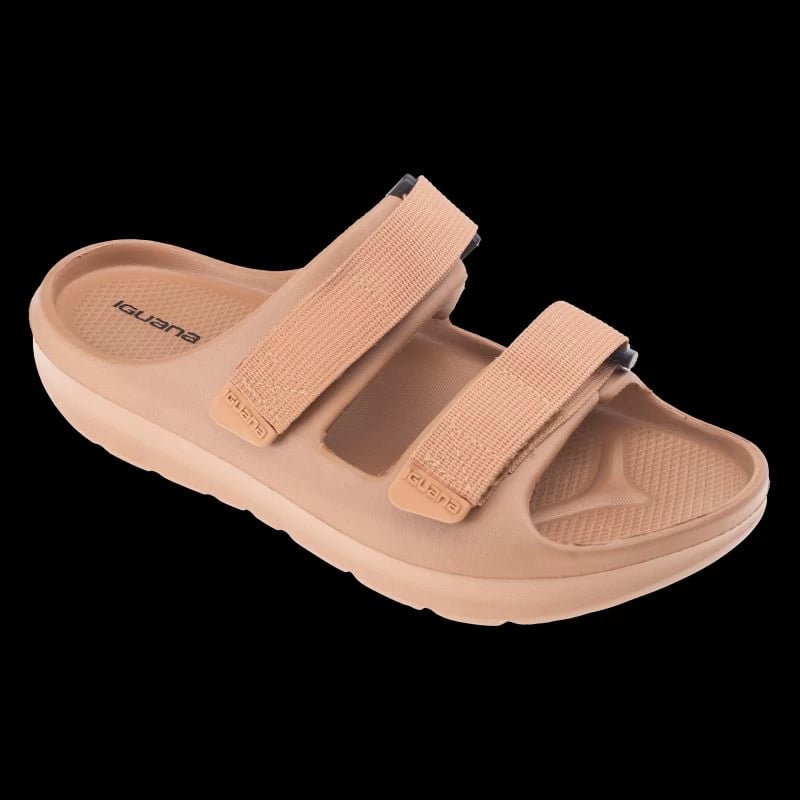 Papuqe meshkuj Iguana