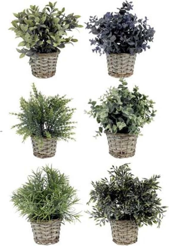 Bimë dekorative KOOPMAN me vazo ratan, 28cm, 6 dizajne