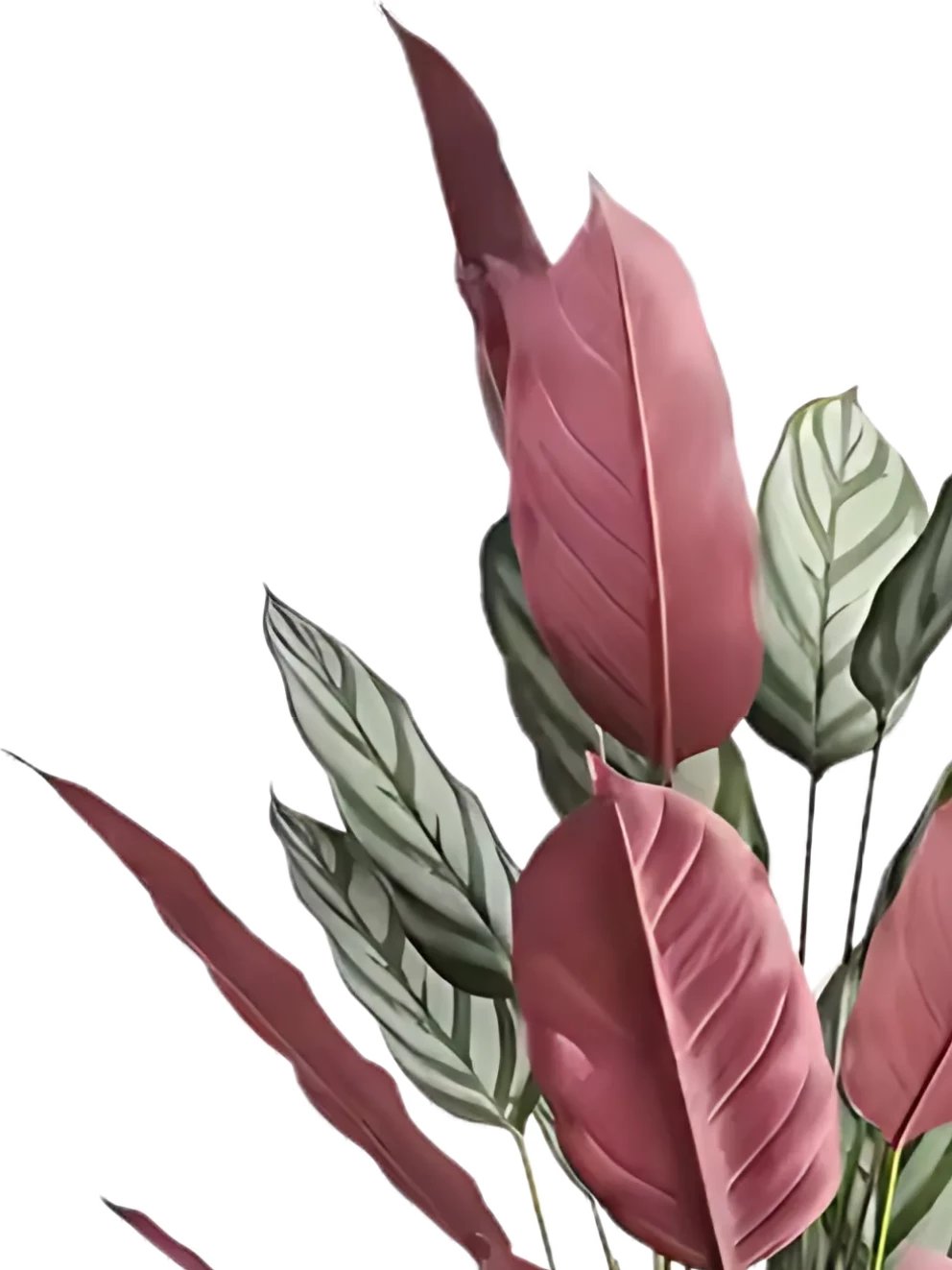 Bimë artificiale Tropical Bird of Paradise Tree, 180 cm