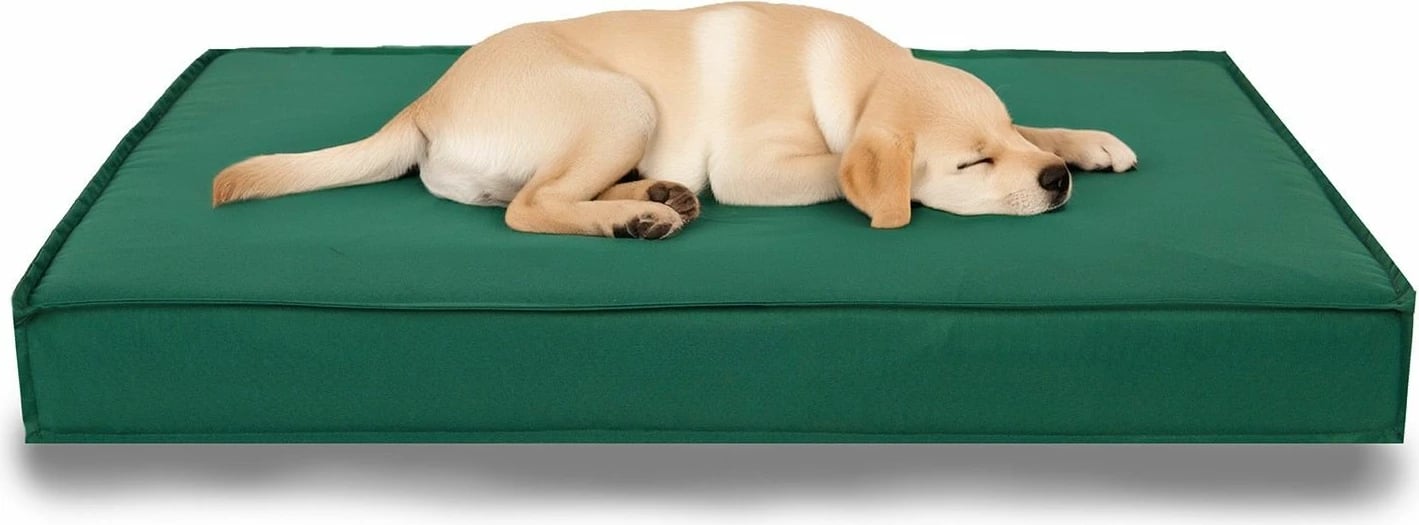 Shtrat për qen Paws & Whiskers, Eva Garden, XL, ngjyrë e gjelbër