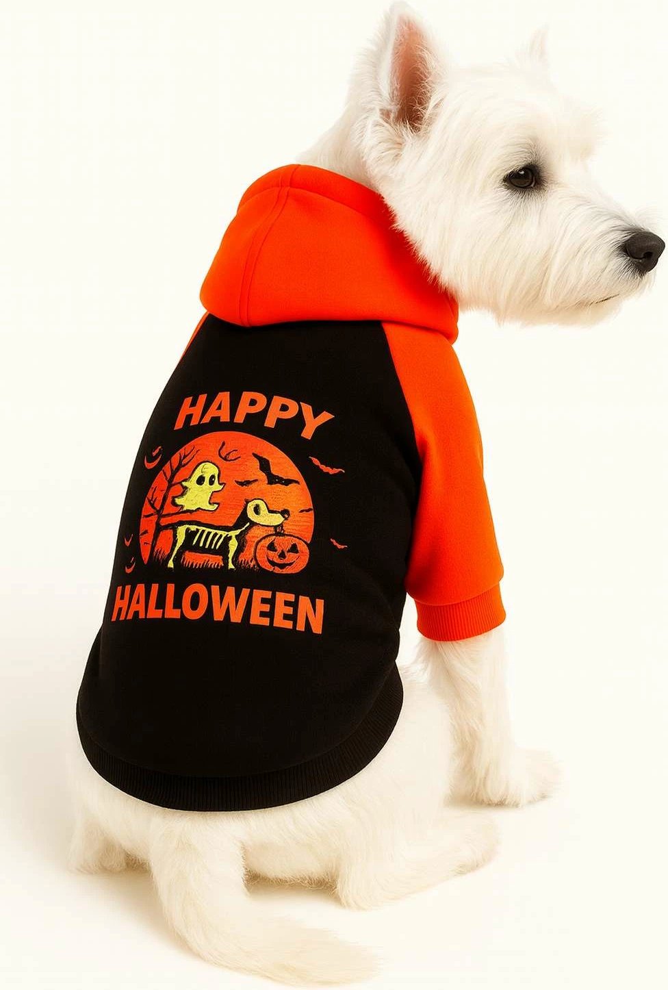 Bluze për qen, Paws & Whiskers, ngjyrë e zezë, Happy Halloween