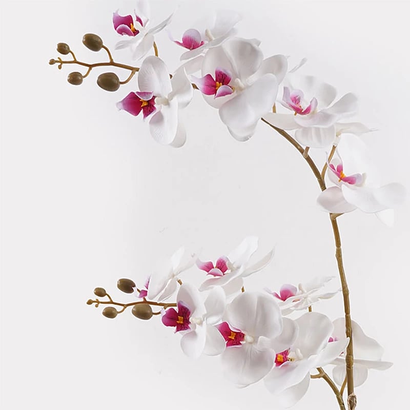Bimë dekorative orkide në vazo, e bardhë, Inart, 36x17x65cm