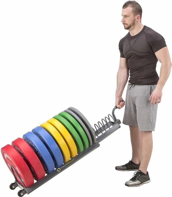 Karrocë peshash HMS për palestër, ngjyrë çeliku