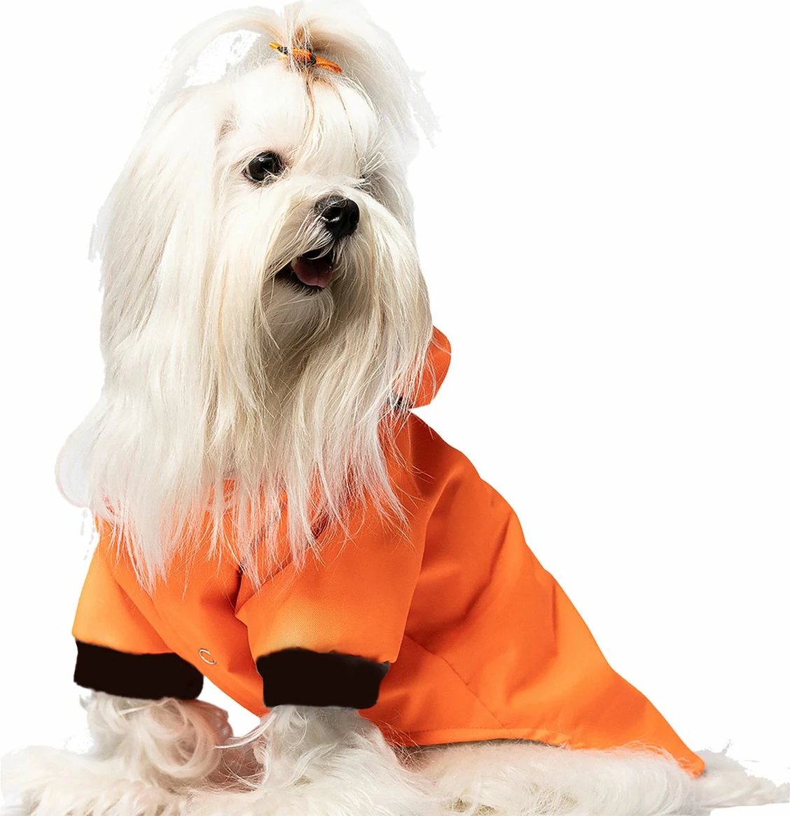 Kapuç për qen, xhaketë shiu, portokalli, Paws & Whiskers, XL