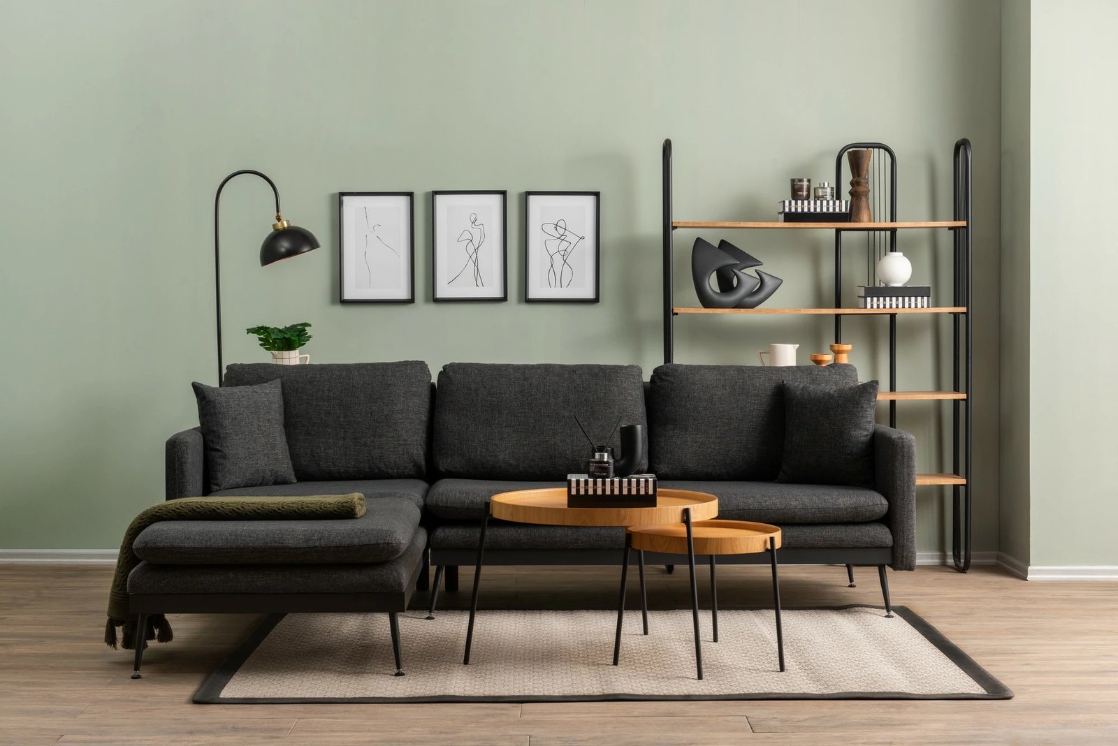 Këndare Reya, ngjyrë gri e errët