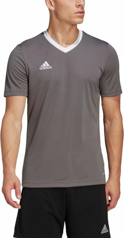 Maicë adidas për meshkuj, gri