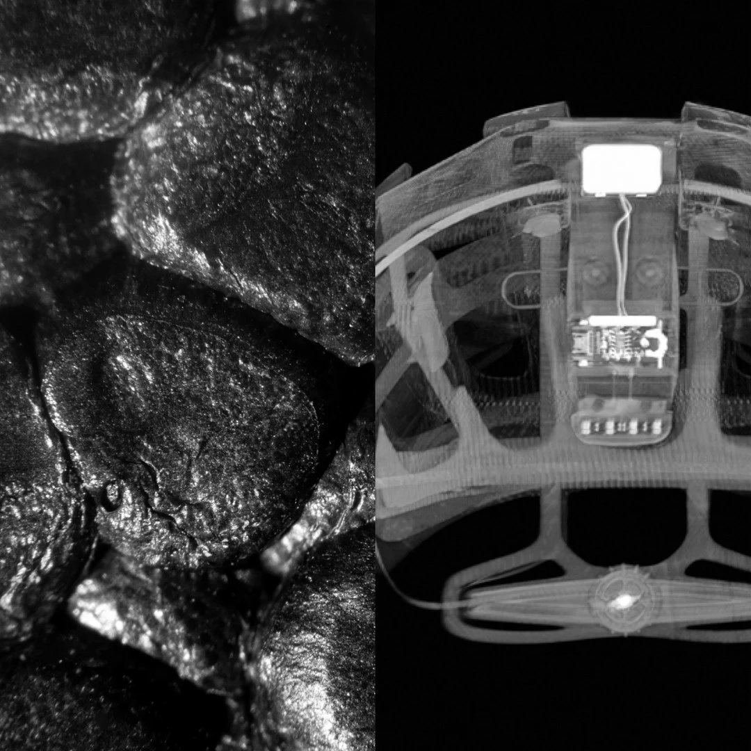 Helmetë sportive POC 628354, për të rritur, mat, portokalli/zezë